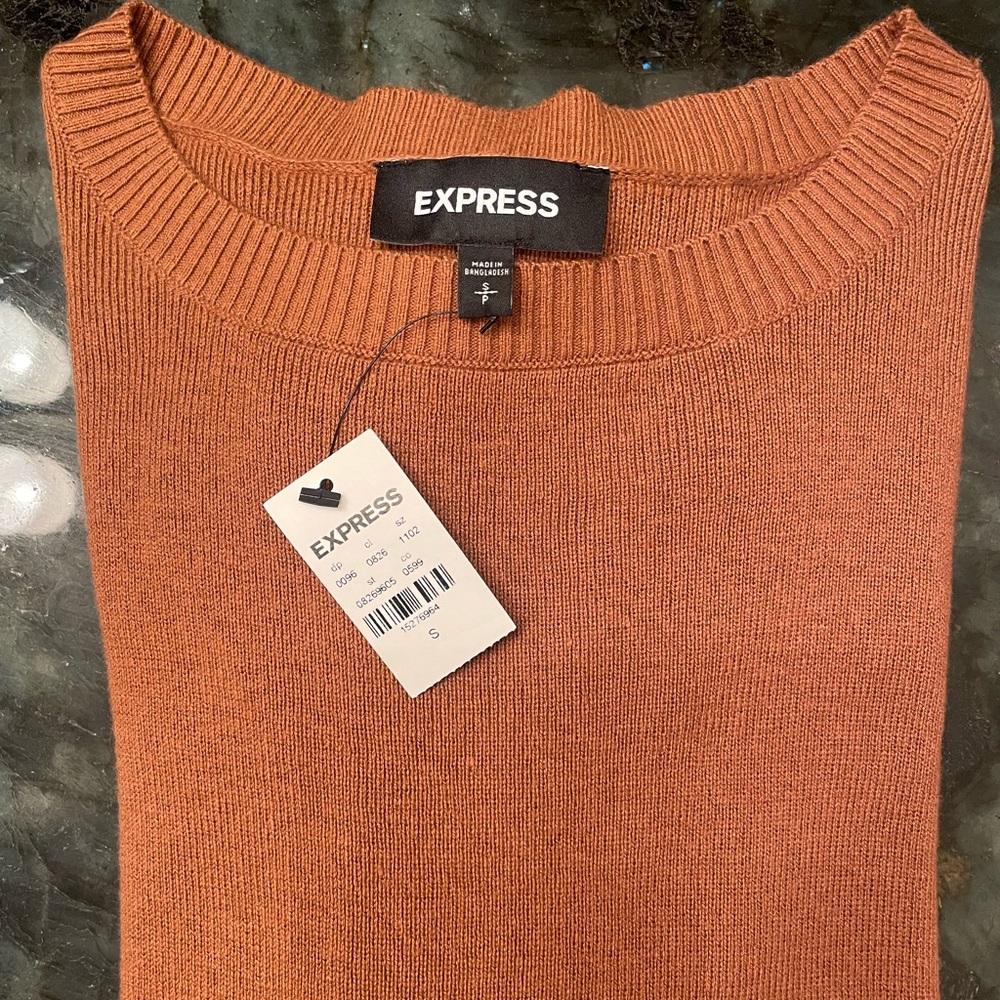 NWT Express Sweater